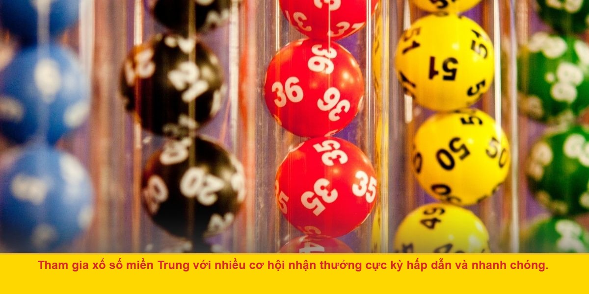 Dịch vụ hỗ trợ 24/7
